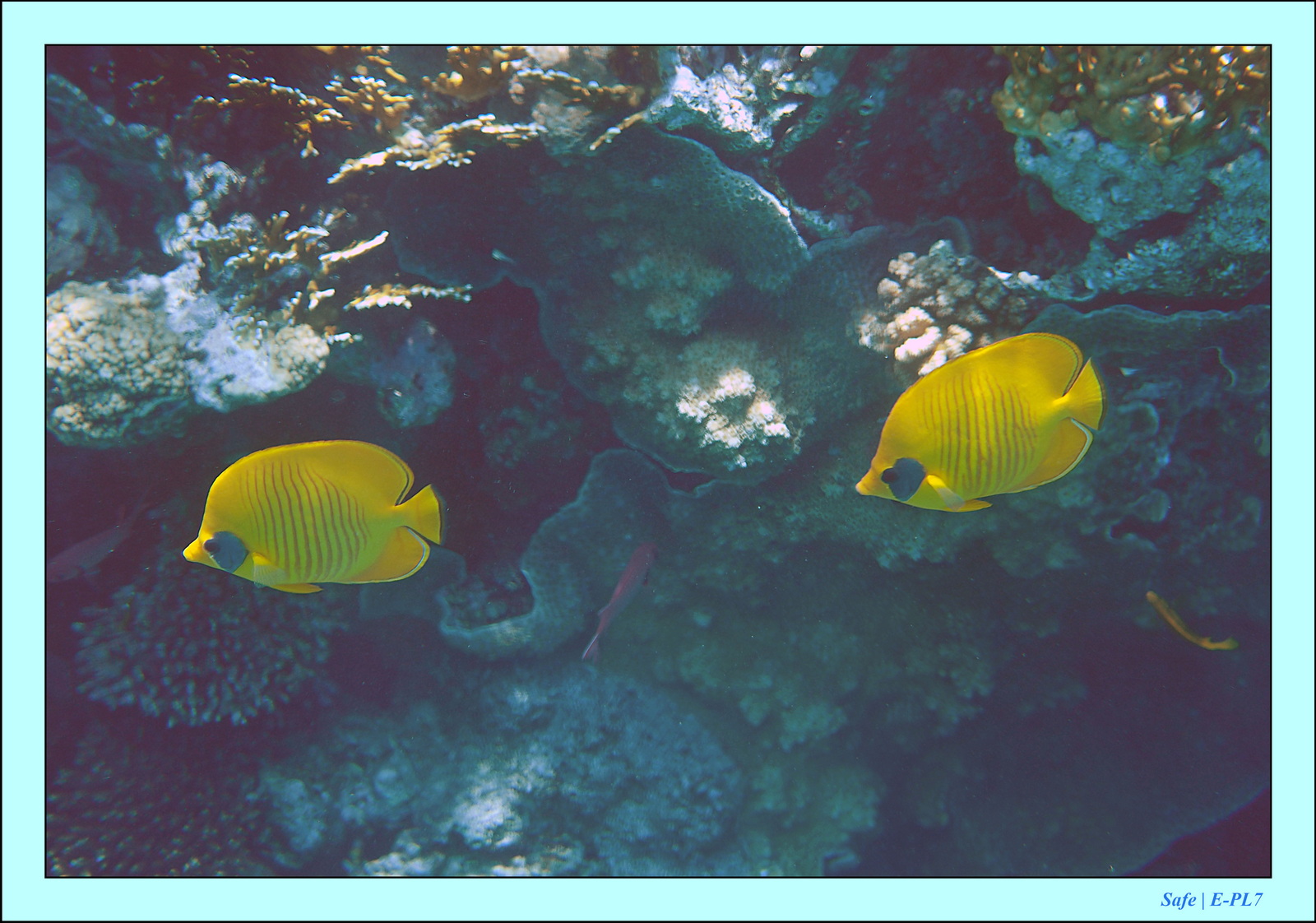 Hurghada - Aout 2021 - 015